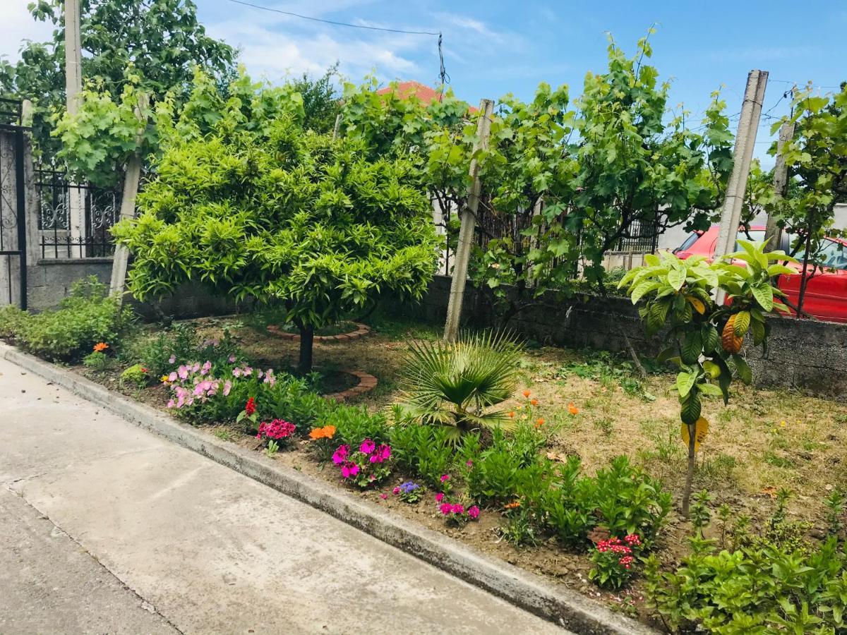 Villa Ajla Дуррес Экстерьер фото
